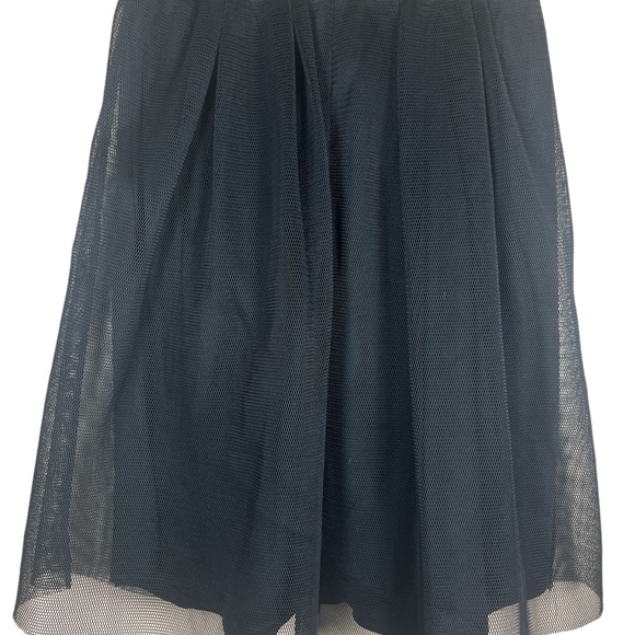 Nwt-Fully lined net pleated skirt - Picture 3 of 5